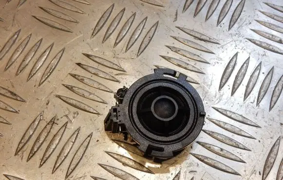 Front door high frequency speaker