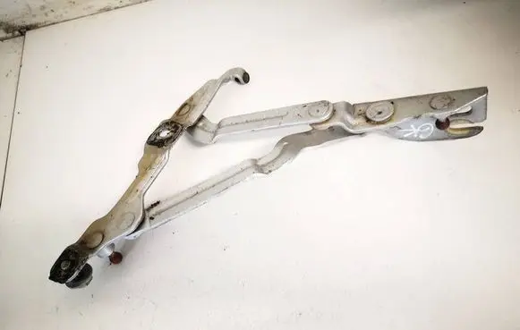 Tailgate/trunk/boot hinge