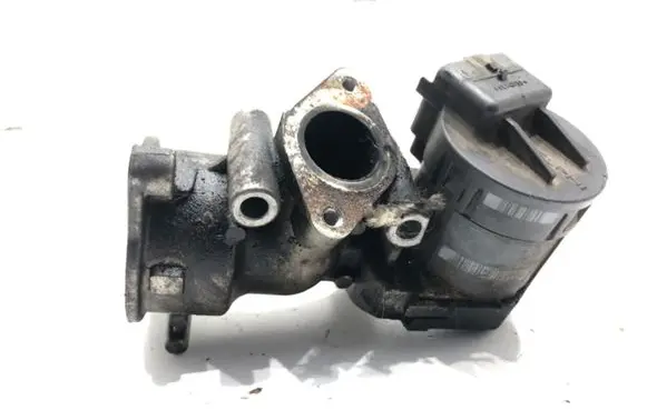 Ford Focus EGR valve