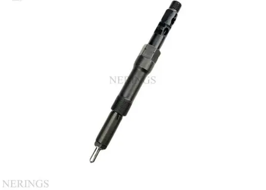Jaguar X-Type Fuel injector R00701D HRD328