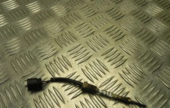 BMW 5 E60 E61 Rubber seal loading door 7809157D11K20 X2069