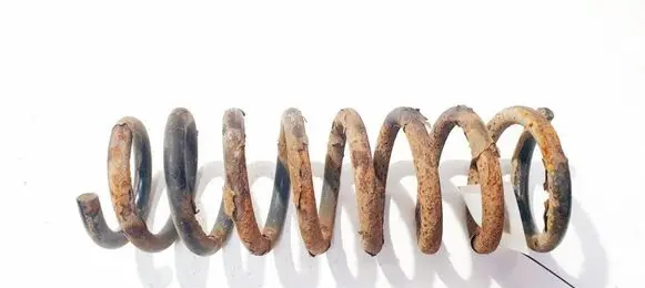 Rear coil spring
