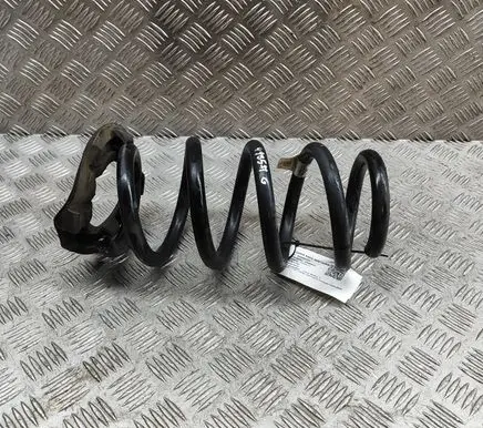 Tesla Model Y Rear coil spring 118847900A