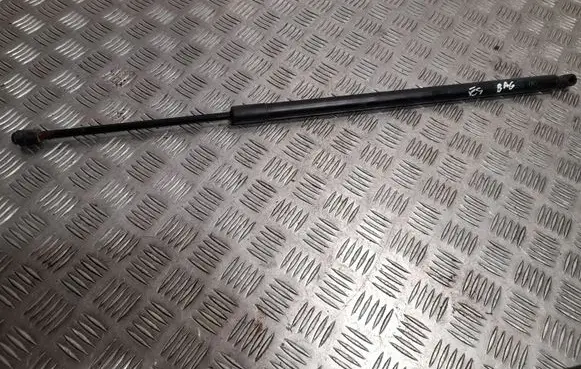 Ford Escape III Tailgate/trunk strut/damper CJ54S406A10AD