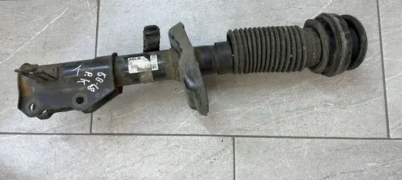 Opel Insignia A Front shock absorber/damper