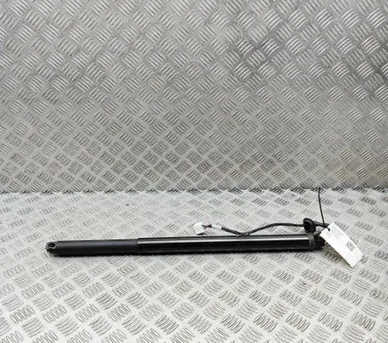 Fisker Ocean Tailgate/trunk strut/damper FM2955210009A