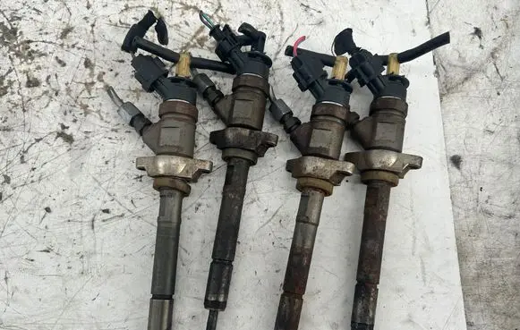 Citroen C3 Fuel injectors set 0445110311