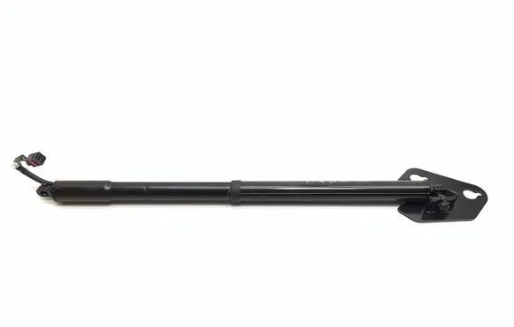 Tailgate/trunk strut/damper