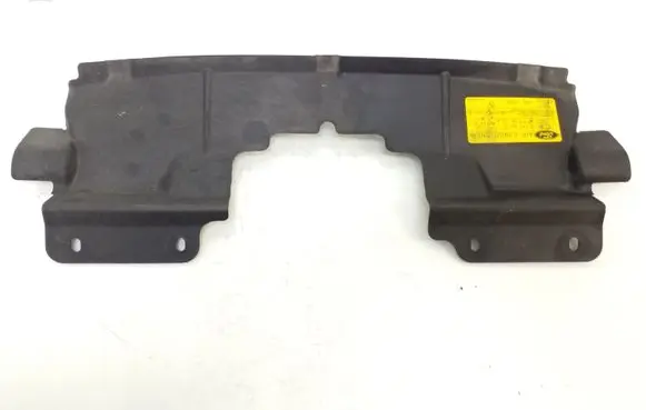 Engine bonnet/hood lock trim molding