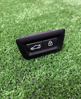 Tailgate opening switch