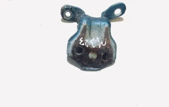 Rear door lower hinge