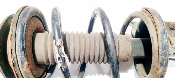 Front coil spring