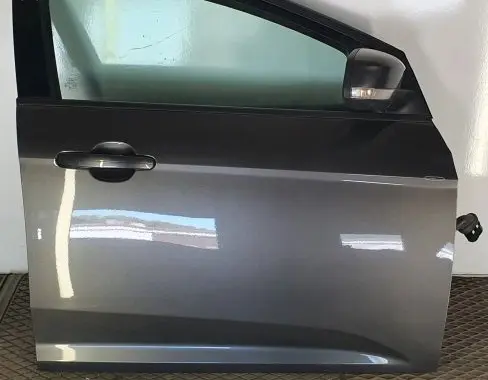 Ford Focus Front door PBM51A20124BF