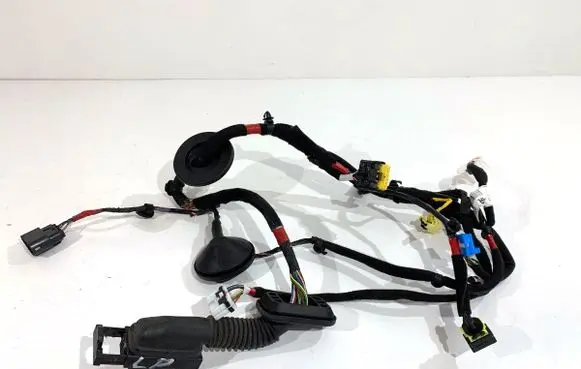 Hyundai i30 Front door wiring loom 91605-G4170