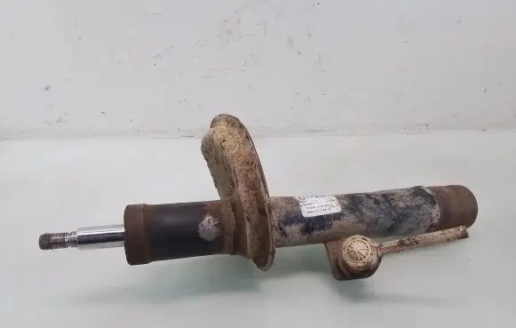 Peugeot Partner Front shock absorber/damper