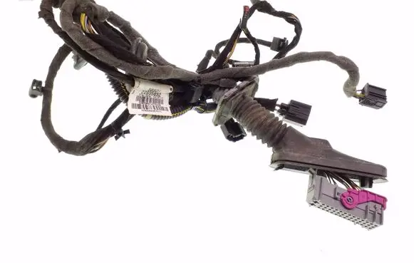 Opel Insignia A Front door wiring loom 22895892