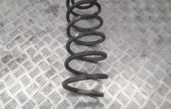 Opel Antara Front coil spring
