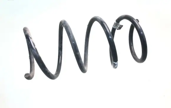 Front coil spring