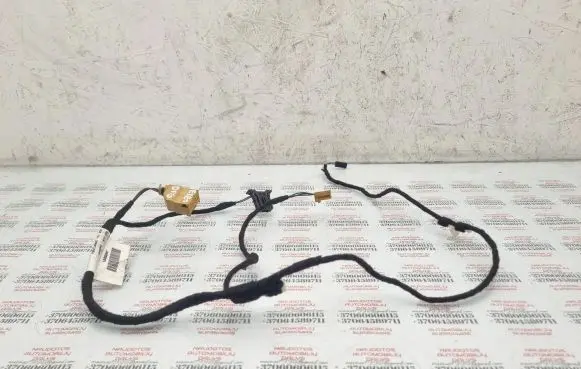 Seat Exeo (3R) Rear door wiring loom 3R0971693
