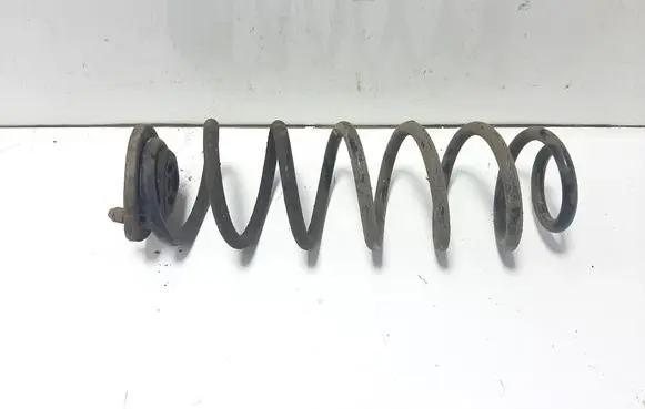 Rear coil spring