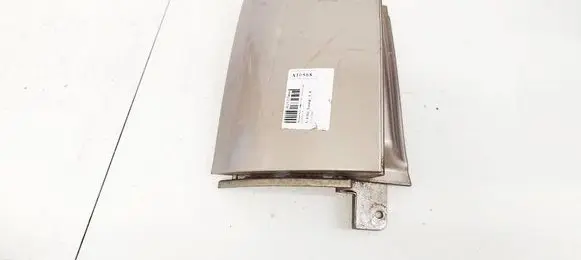 Rear/tail light trim molding