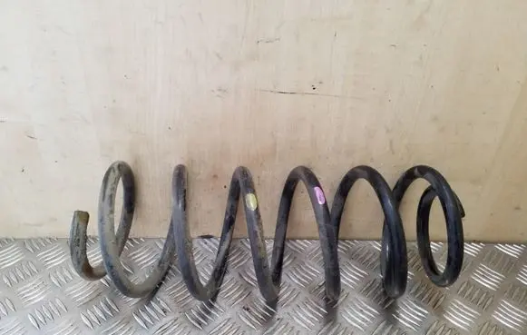 Opel Antara Front coil spring