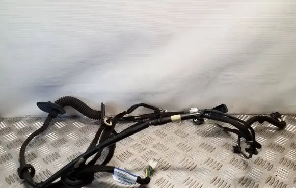 Renault Trafic III (X82) Front door wiring loom 241250955R