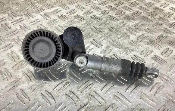 Porsche Cayenne (9PA) Timing belt tensioner 94310225901 94810235902