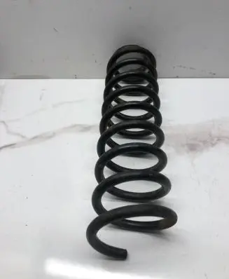 Volkswagen PASSAT B5.5 Rear coil spring