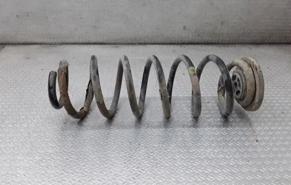 Seat Toledo III (5P) Rear coil spring