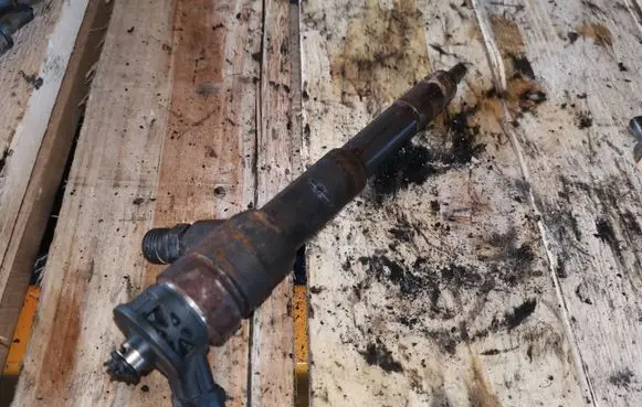 Dacia Duster Fuel injector 0445110485
