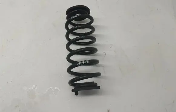 Volkswagen PASSAT B7 Rear coil spring 10750B