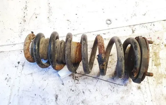 Front coil spring