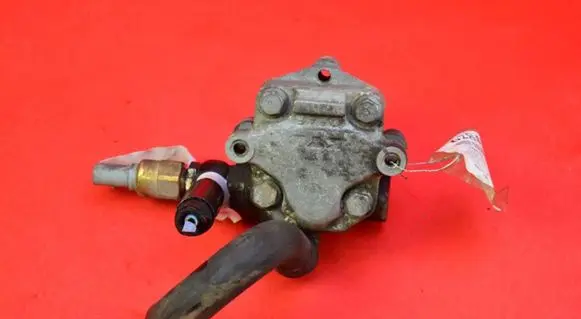Skoda Octavia Mk2 (1Z) Power steering pump