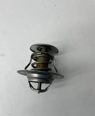Volkswagen PASSAT B6 Thermostat 044121113