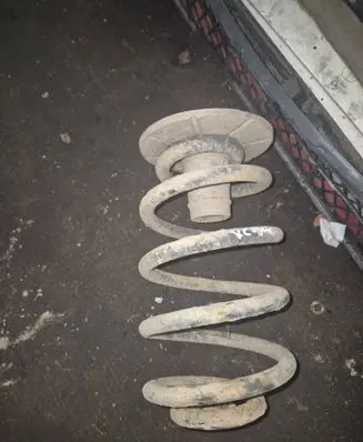 Opel Vectra C Rear coil spring
