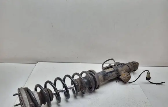 BMW 7 F01 F02 F03 F04 Rear shock absorber with coil spring 4065092