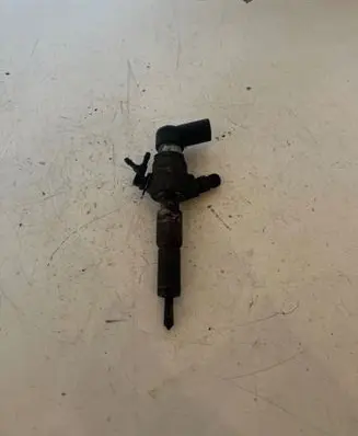 Citroen C3 Fuel injector 9655304880