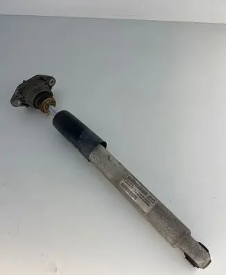 Porsche Panamera (970) Rear shock absorber/damper 97033316108 462400010432