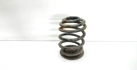 BMW X3 E83 Rear coil spring