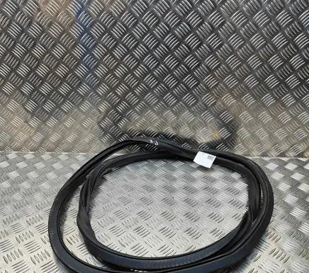 BMW 5 G30 G31 G38 Rubber seal front coupe door 7490027