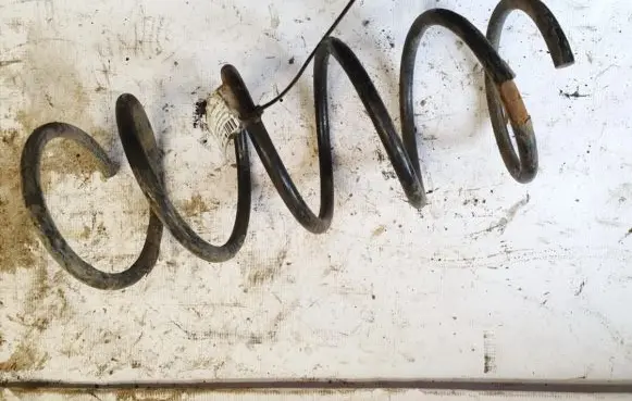Front coil spring