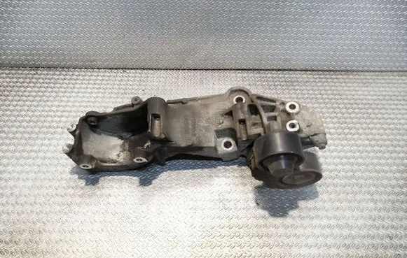 Renault Trafic II (X83) Alternator belt tensioner 8200881264