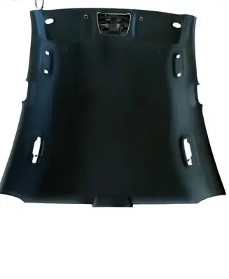 Dodge Charger Headlining 6EN88DX9AC 2426190 60047478