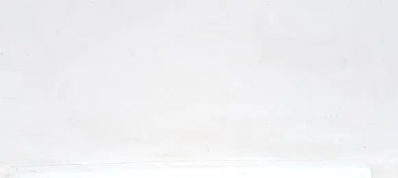 Ford Kuga I Front door trim (molding)