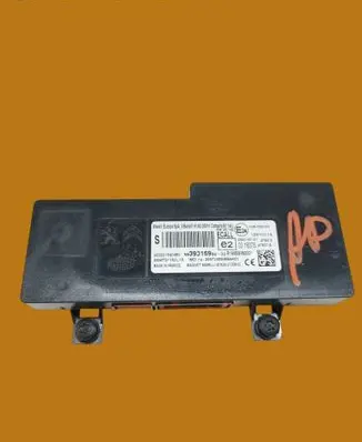 Peugeot Expert Other control units/modules 9839316980