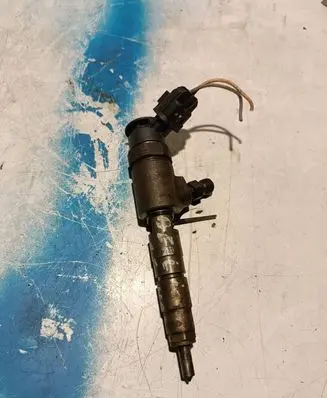 Citroen Berlingo Fuel injector