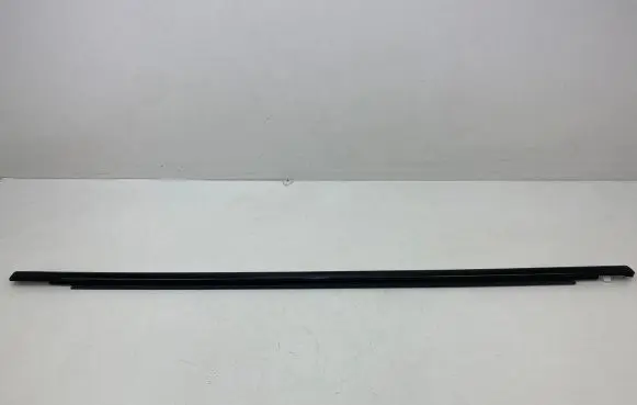 Volvo V90 Cross Country Rear door glass trim molding 31848055