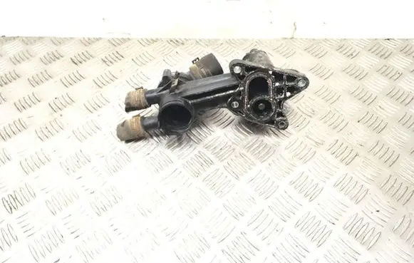 Thermostat/thermostat housing
