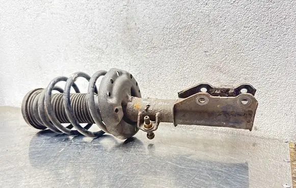 Opel Insignia A Front shock absorber with coil spring 13245967 461260